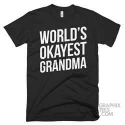 Worlds okayest grandma 02 01 11a png