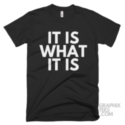 It is what it is 05 01 043a png