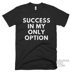 Success in my only option 05 02 085a png
