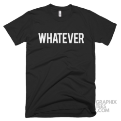 Whatever 05 01 096a png