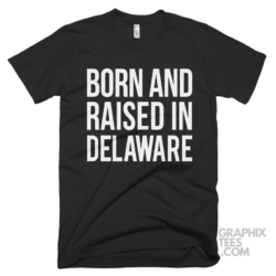Born and raised in delaware 09 01 08a png
